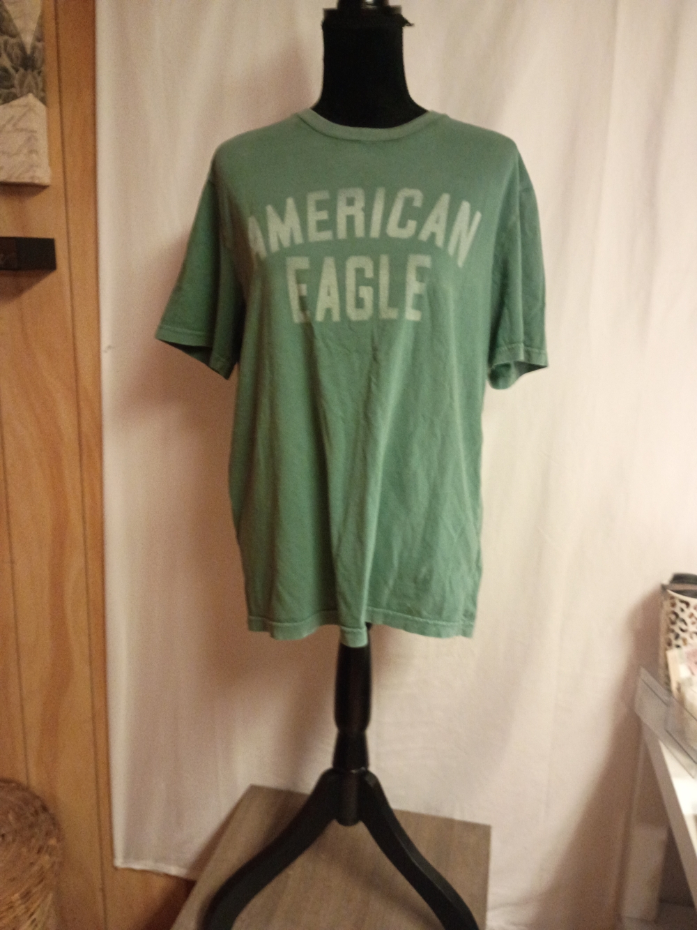 American Eagle Outfitters Sage Green Graphic Tee